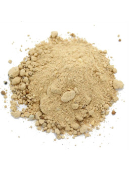 Curry Rendang indonésien