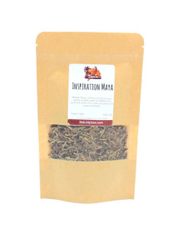 Sachet de mélange d'épices maya