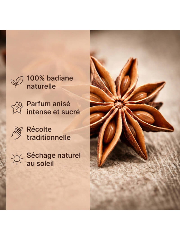 caractéristiques de notre badiane