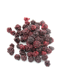 Mûres lyophilisées entières