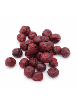 Cerises griottes lyophilisées entières