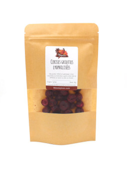 sachet Cerises griottes lyophilisées entières