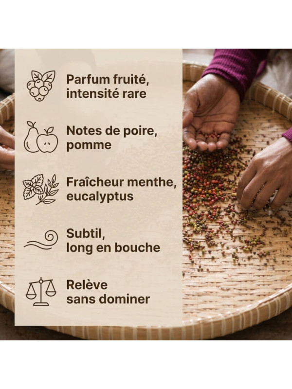 Caractéristiques kampot