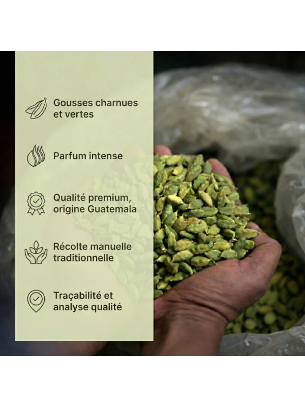 Caractéristiques cardamome graines