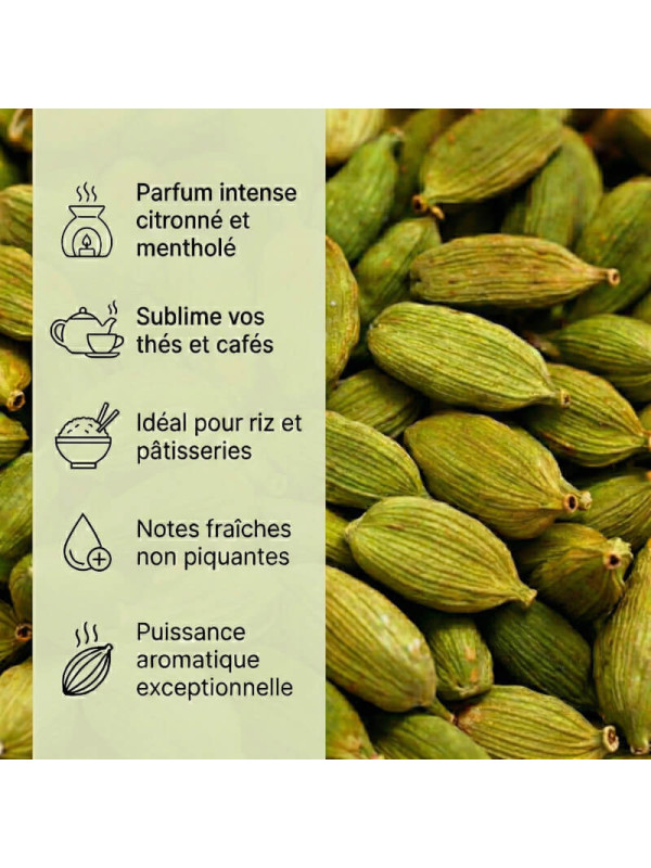 usage cardamome