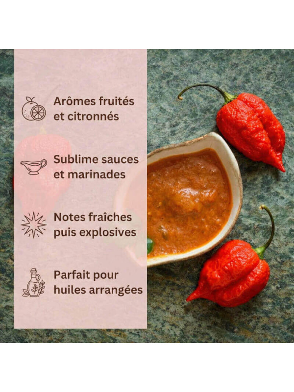 usages piment carolina reaper