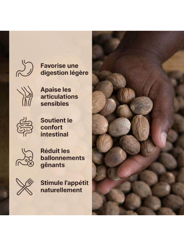 bienfaits noix de muscade