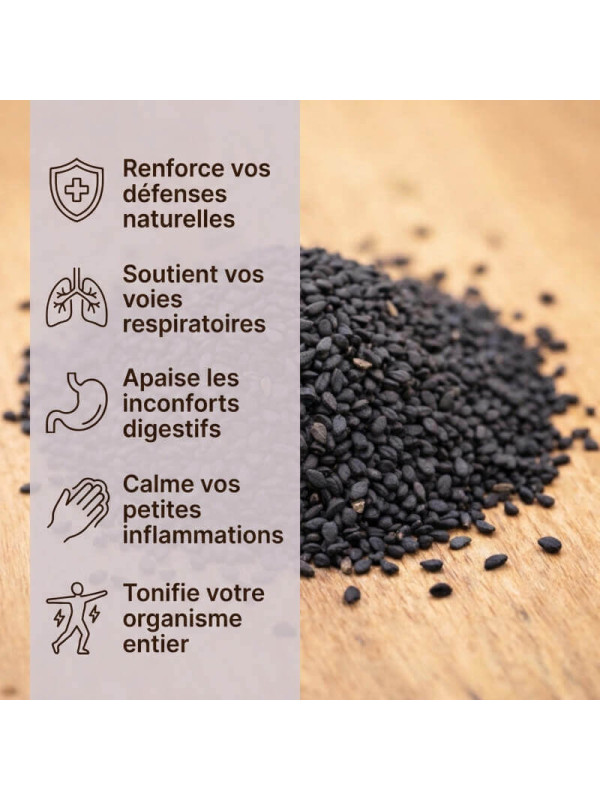 bienfaits graines de nigelle
