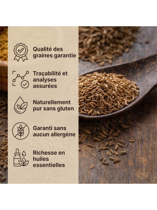 excellence de nos graines de cumin