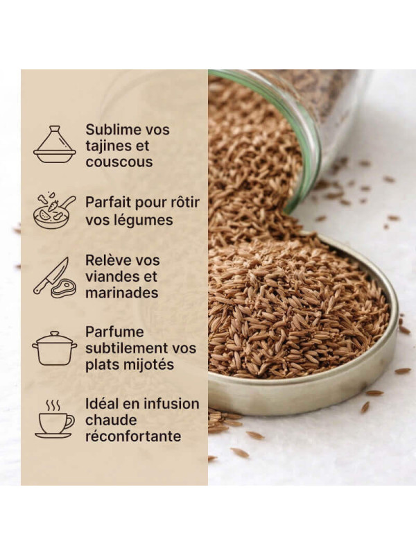 usage du cumin en graines