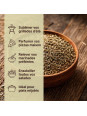 usage herbes de provence