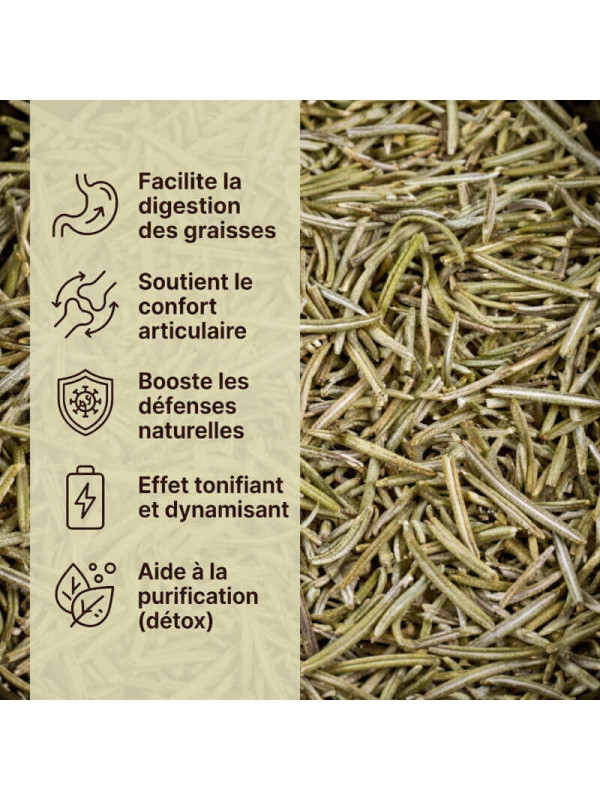bienfaits du romarin pour la santé