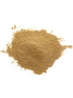 Brahmi poudre BIO