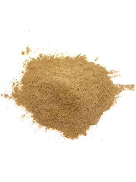Brahmi poudre BIO