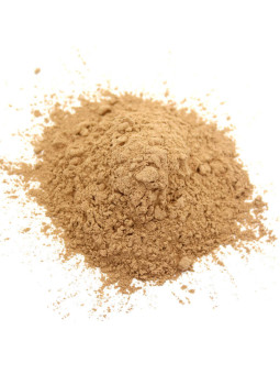 Caroube en poudre BIO