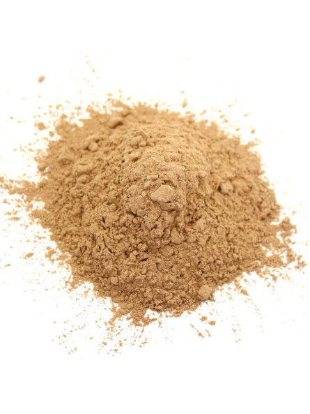 Caroube en poudre BIO