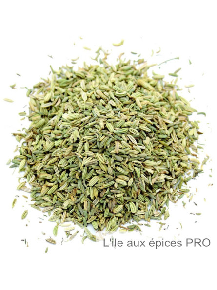 Fournisseur Graines de fenouil pro Fournisseur Graines de fenouil pro