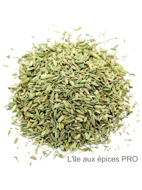 Fournisseur Graines de fenouil pro Fournisseur Graines de fenouil pro