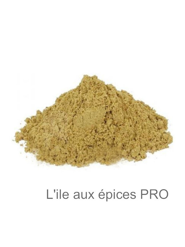 Vente en gros Fenouil en poudre pro Vente en gros Fenouil en poudre pro