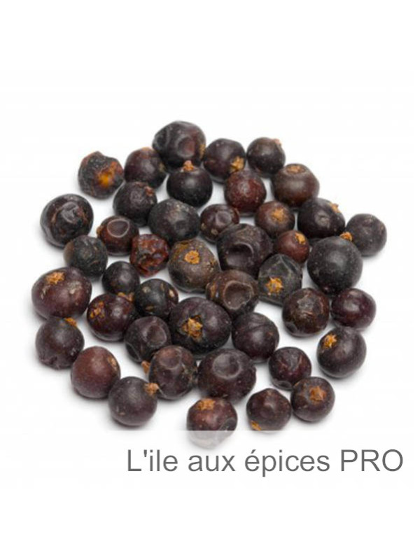 Grossiste Baies de genièvre pro