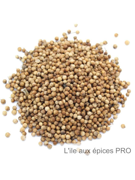 Graines de coriandre pro