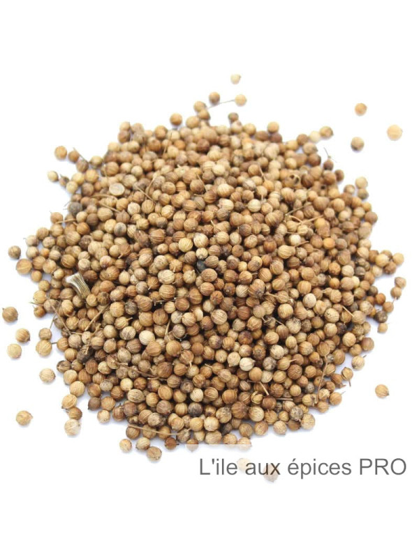 Graines de coriandre pro