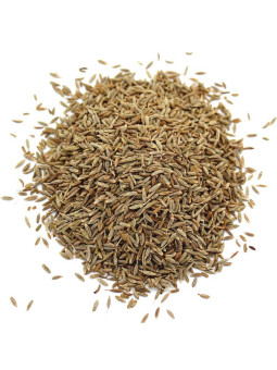 Vente en gros Graines de cumin pro