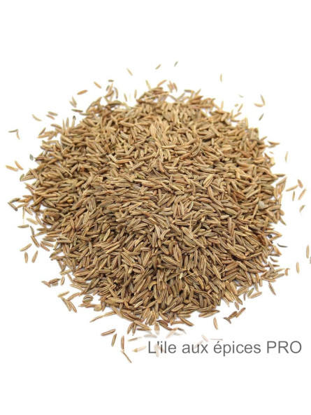 Grossiste vente en gros Graines de carvi pro