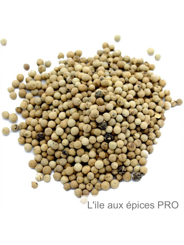 Vente en gros Poivre blanc pro