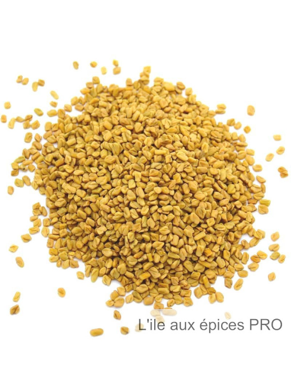 Vente en gros Fenugrec graines pro