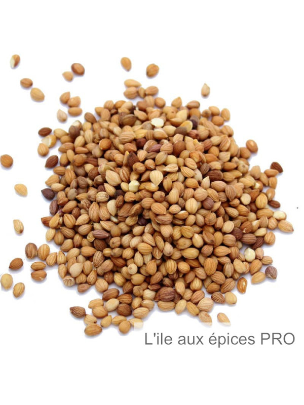 Vente en gros Graines de mahaleb ou mahlep pro