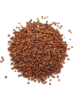 Vente en gros Maniguette (poivre de Guinée) pro