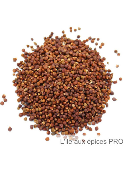 Vente en gros Maniguette (poivre de Guinée) pro