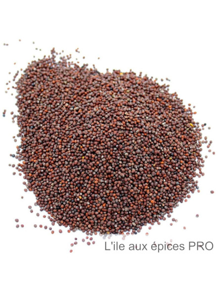 Vente en gros Moutarde brune graines pro