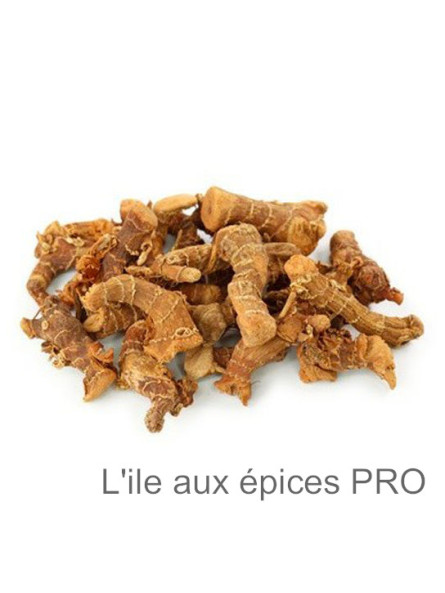 Fournisseur Racines de galanga séchées pro