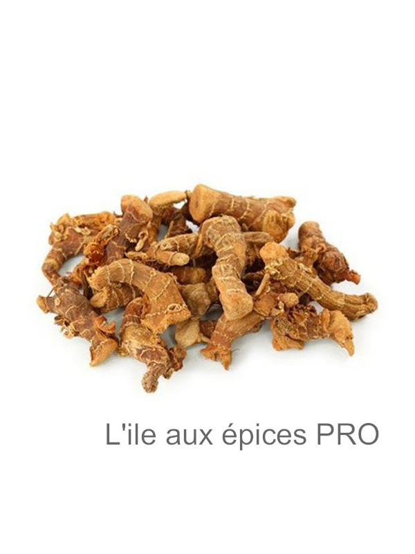 Fournisseur Racines de galanga séchées pro