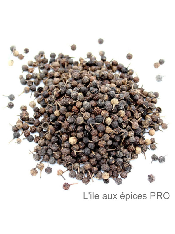 Vente en gros Cubèbe (poivre à queue) pro