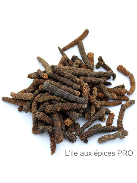 Vente en gros Poivre long de Java pro