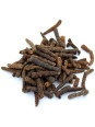 Vente en gros Poivre long de Java pro