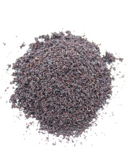 Vente en gros Graines de pavot bleu pro