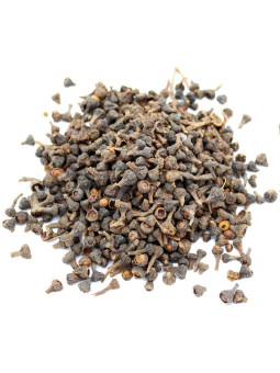 Vente en gros Baies ou clous de cannelier pro