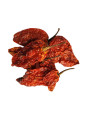 Vente en gros Piments Bhut Jolokia entiers pro