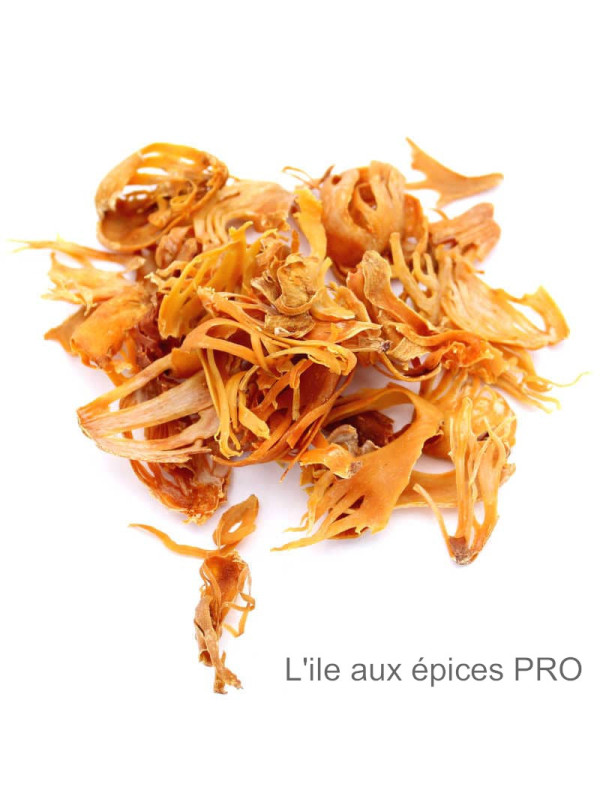Grossiste Fleurs de macis de muscade pro
