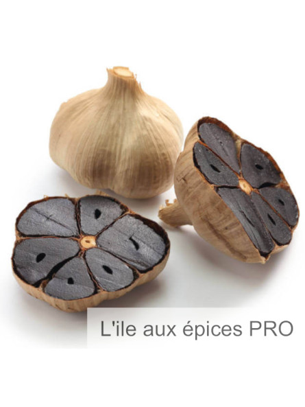 Vente en gros Ail noir du Japon pro