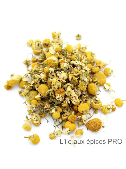 Vente en gros Fleurs de camomille romaine pro Vente en gros Fleurs de camomille romaine pro