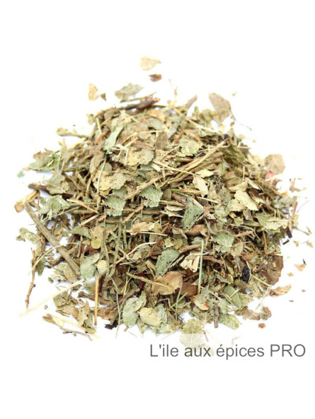 Vente en gros Feuilles de myrtille séchées pour tisane et infusion pro