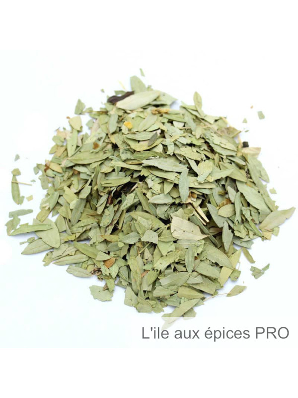 Vente en gros Feuilles de séné (sana mekhi) séchées pro