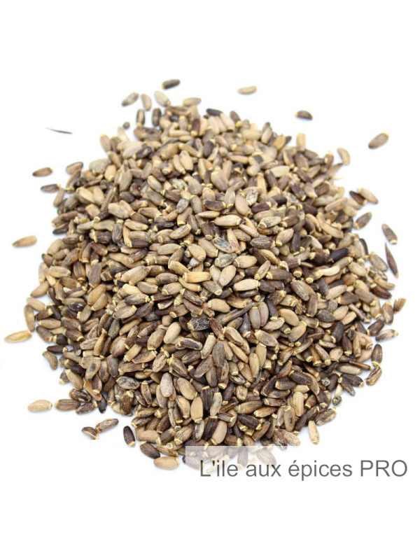 Vente en gros Graines de chardon marie pro