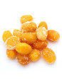 Vente en gros Kumquat déshydraté pro Vente en gros Kumquat déshydraté pro