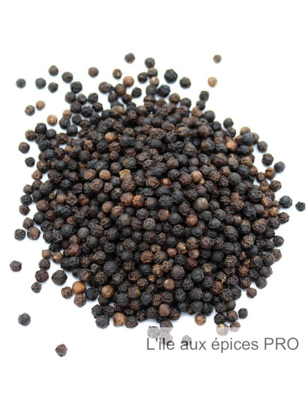 Vente en gros Poivre noir de Lampong d'Indonésie pro